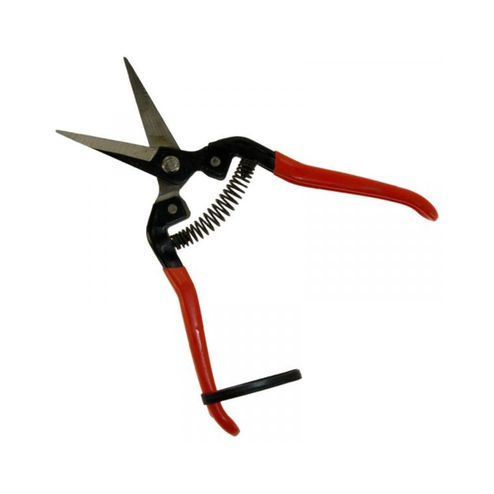 Szüretelő olló 19 cm egyenes